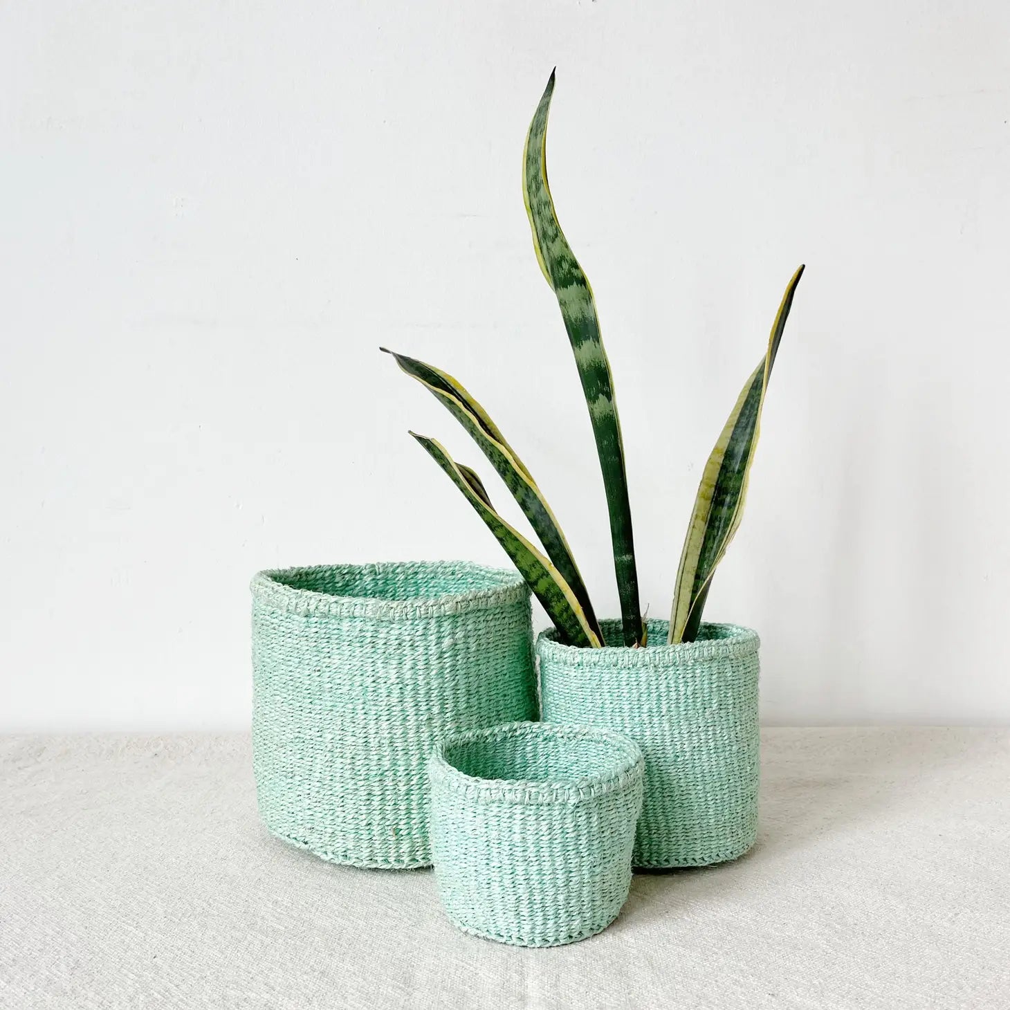 MINT STORAGE/PLANTER BASKET – OOAK: ONE OF A KIND GOODS