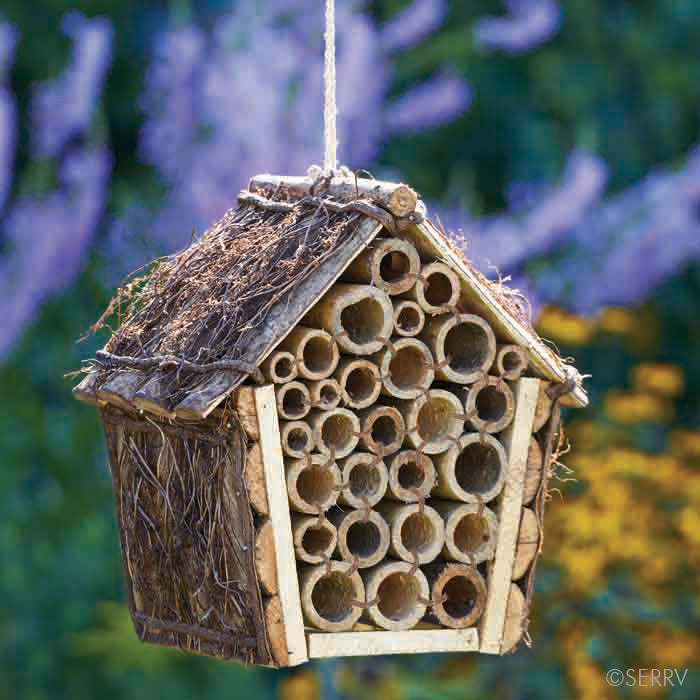 MASON BEE HOUSE