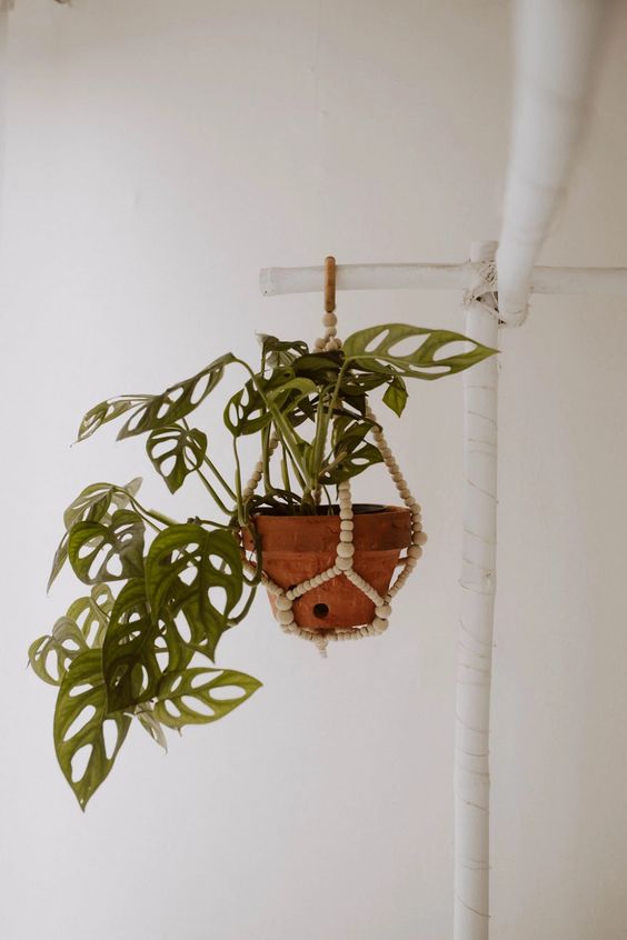 BOHO BEADED PLANT HANGER