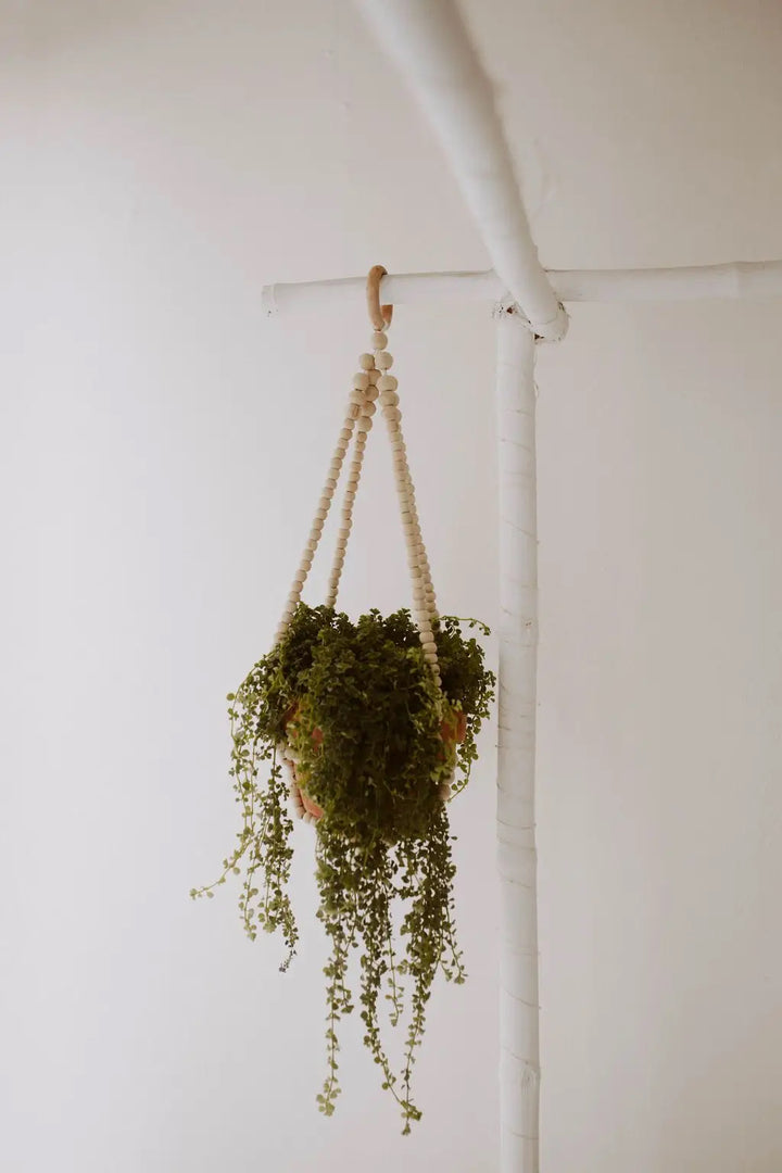 BOHO BEADED PLANT HANGER