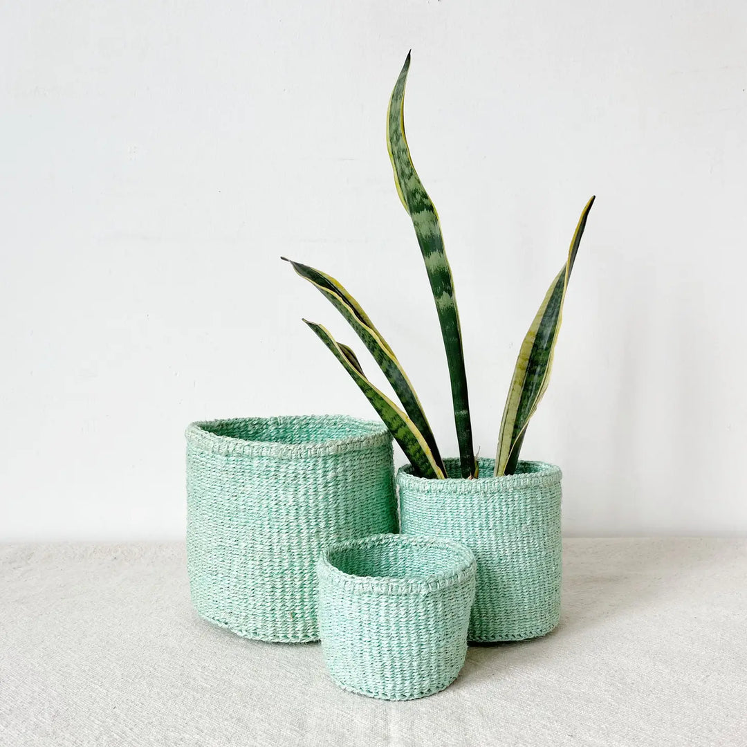 MINT STORAGE/PLANTER  BASKET