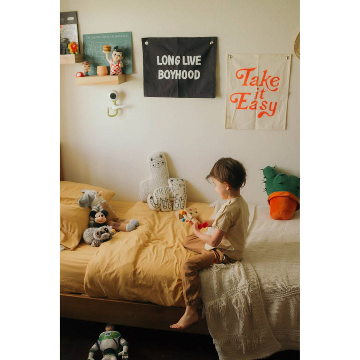 LONG LIVE BOYHOOD BANNER