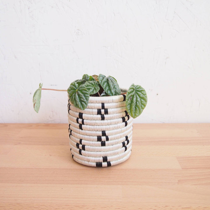 MARABA BASKET PLANTERS