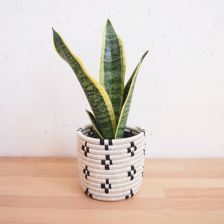 MARABA BASKET PLANTERS