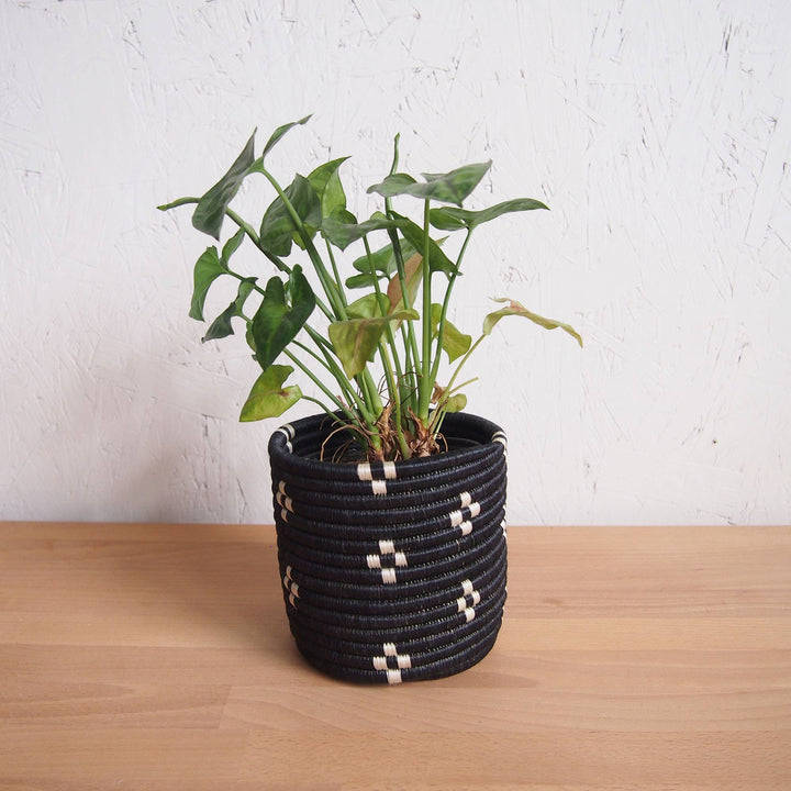 MUNAZI BASKET PLANTERS