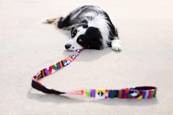 HANDWOVEN GUATEMALAN DOG LEASH