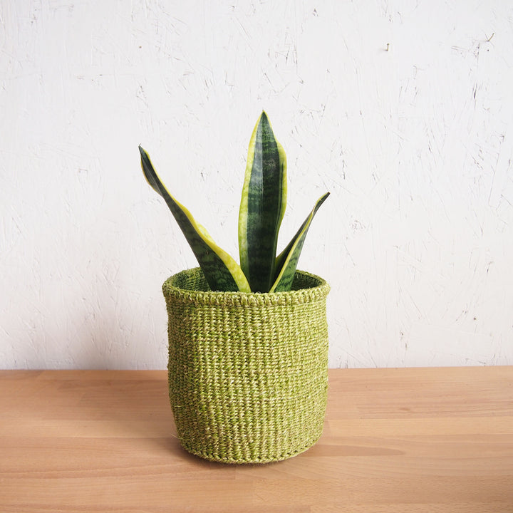 STORAGE BASKET - S