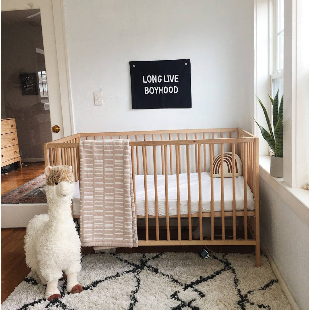 LONG LIVE BOYHOOD BANNER
