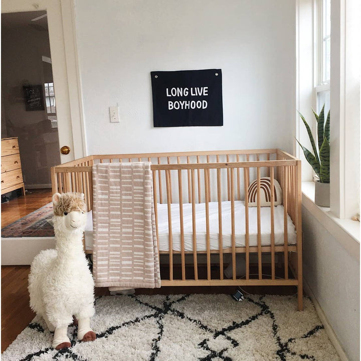 LONG LIVE BOYHOOD BANNER