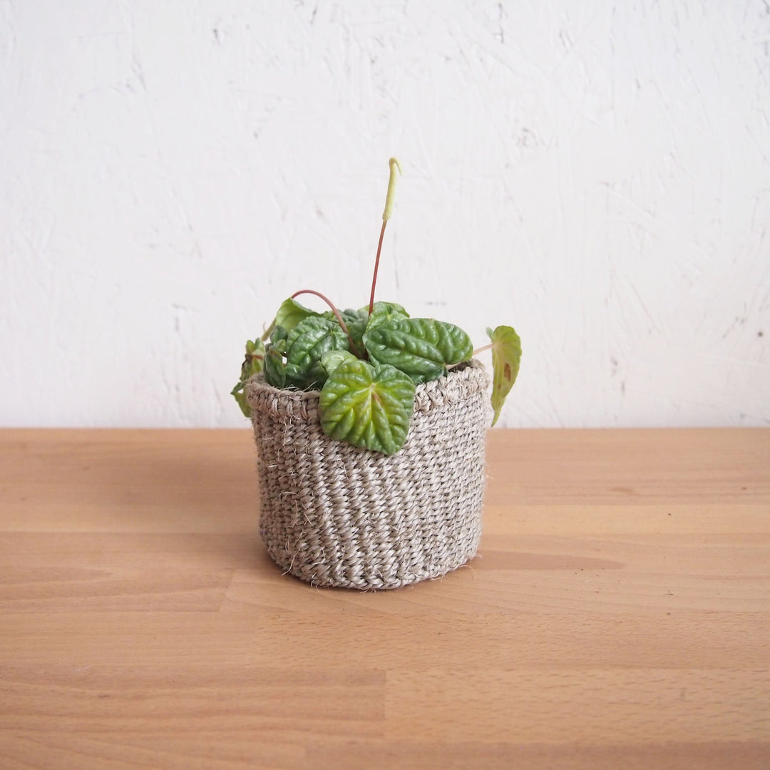 STORAGE BASKET - XS