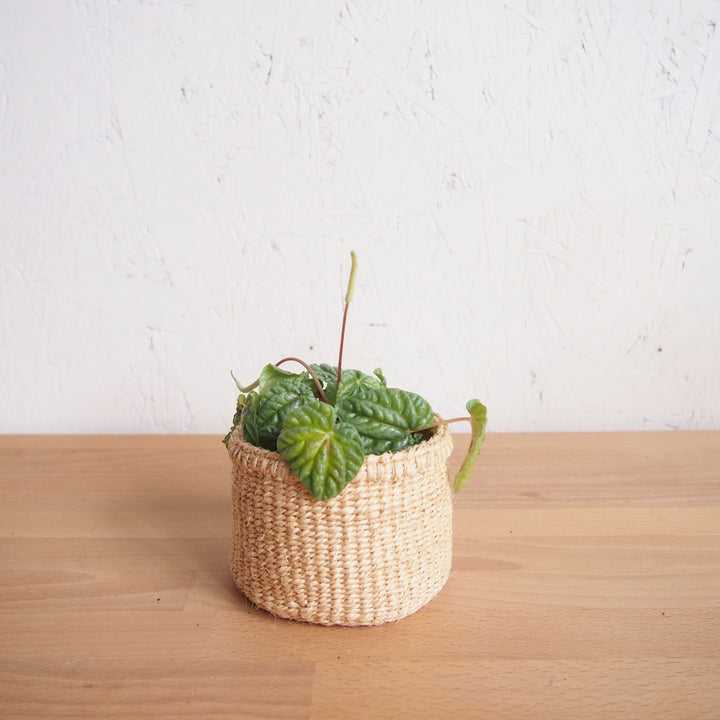 STORAGE BASKET - XS