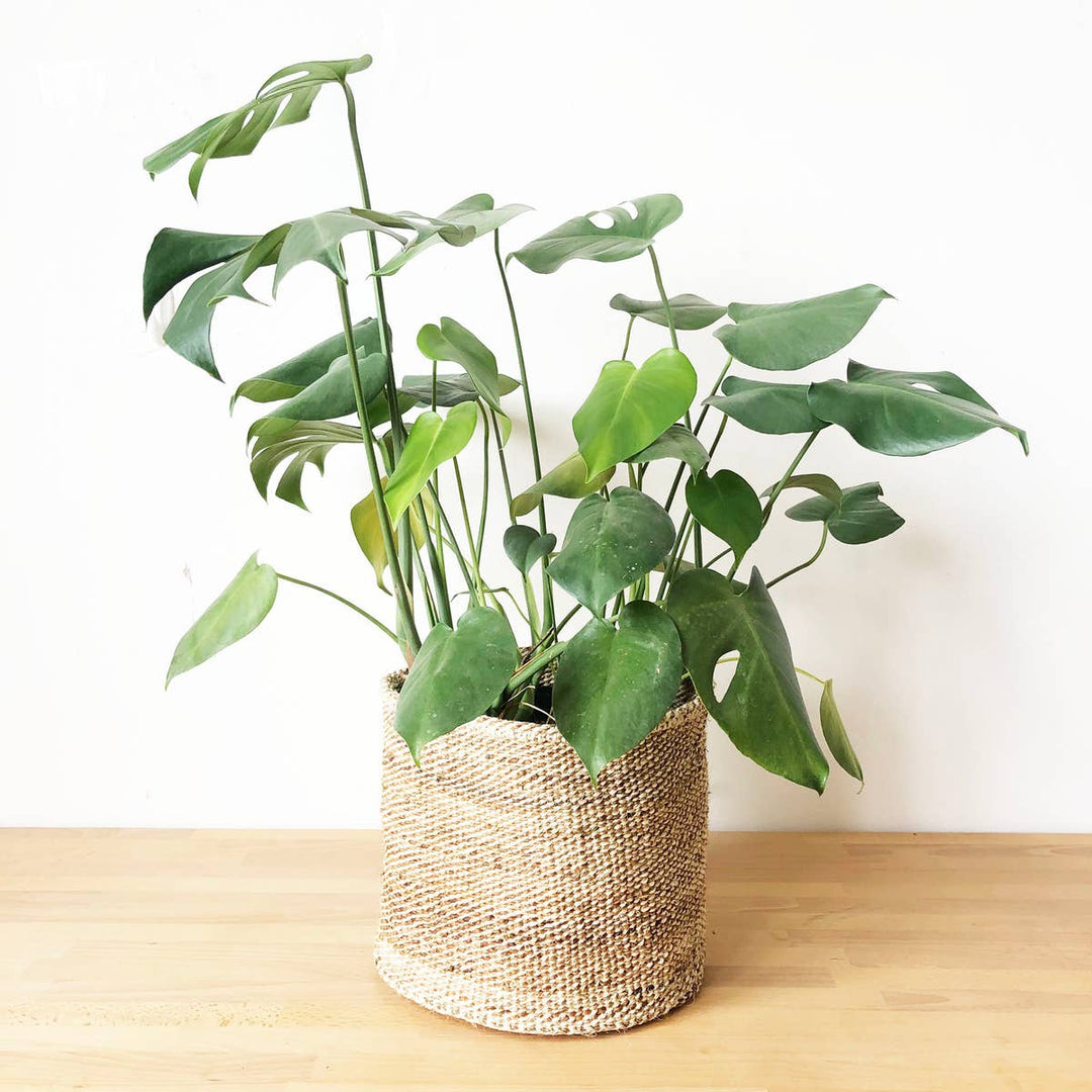 BANANA LEAF BASKET